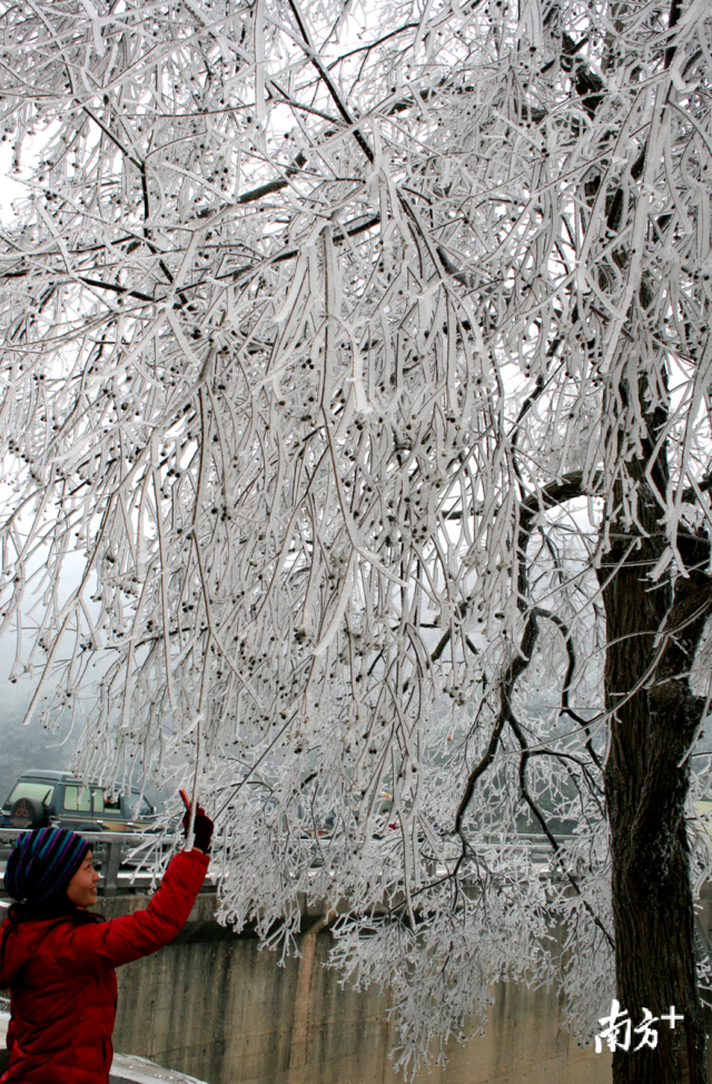 今冬的首場(chǎng)寒潮將于12月29日下午襲擊連州，最冷零下5度，提醒群眾做好御寒準(zhǔn)備。黃津 攝