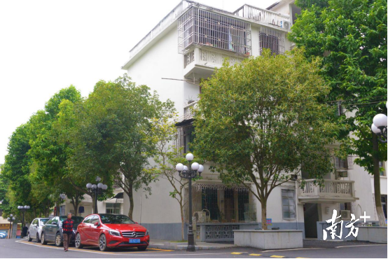 完成部分改造升級后的市政府生活區。張曉欣 攝