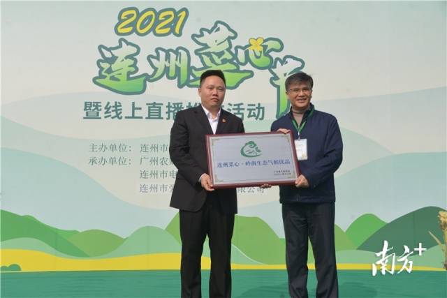 連州菜心獲評“嶺南生態(tài)氣候優(yōu)品”，廣東省氣象局一級巡視員、省氣象學(xué)會理事長梁建茵為連州菜心授牌。張曉欣 攝