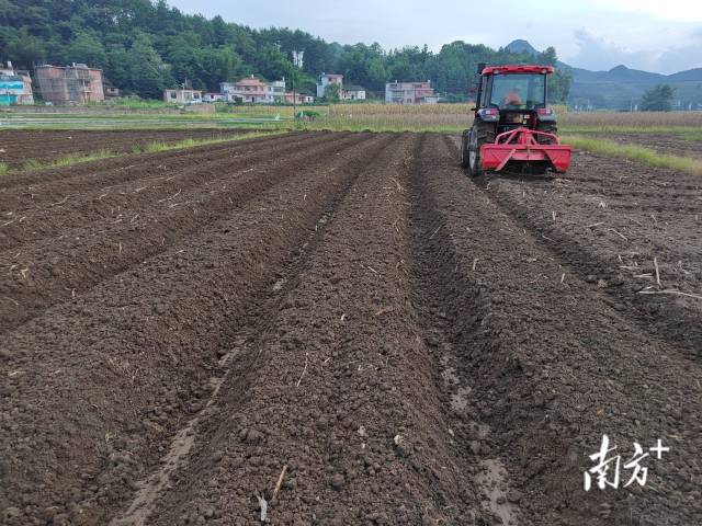 東方紅農耕機正在試運作。
