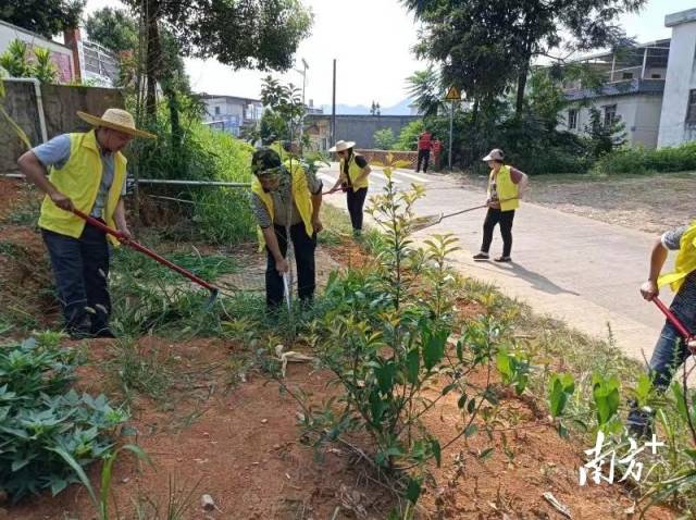 開展護綠行動。