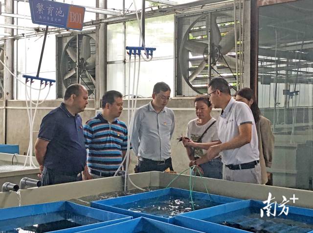 在畔水漁晟園了解特色產業發展情況。