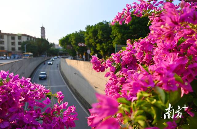 連州織就一張“外聯內暢、城鄉融合”的立體交通藍圖。黃津 攝