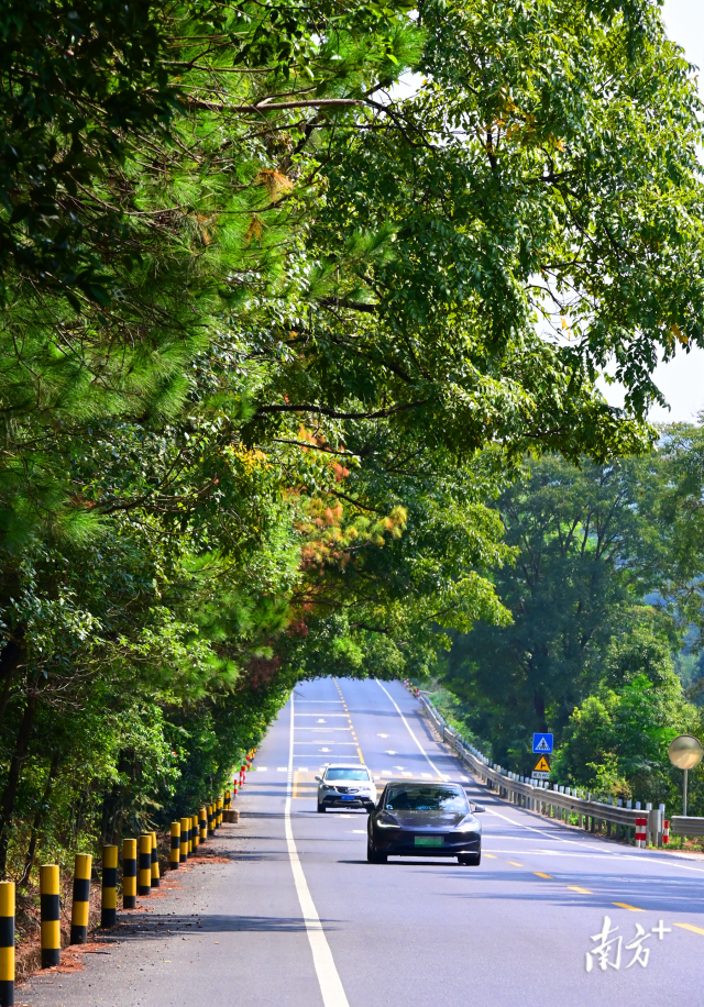 連州“四好農村路”省級示范縣創建考核總分排全省第二。黃津 攝