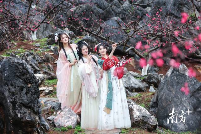 國風少女打卡連州桃花季。