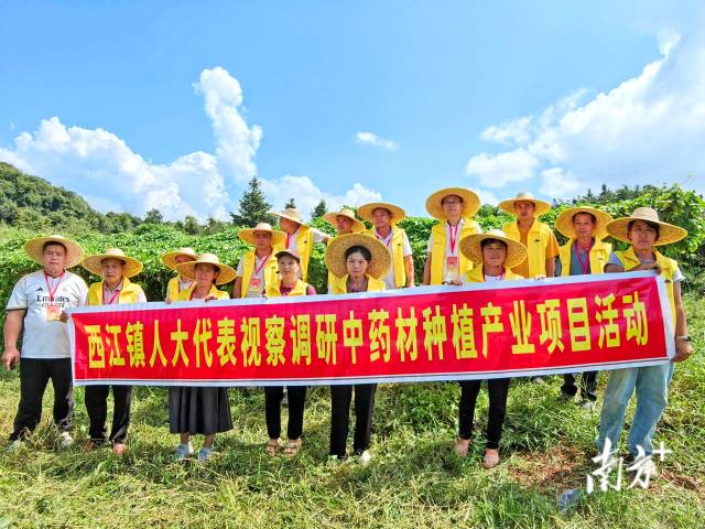 代表們實地調研，為產業振興培育新動能。 西江鎮 供圖