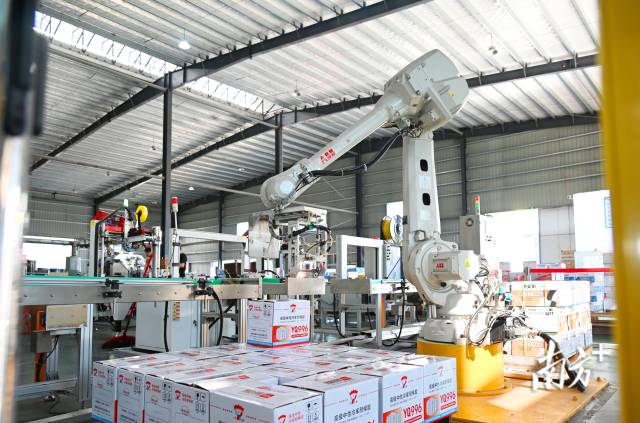 連州新增國家高新技術企業14家，增長率高達93%。黃津 攝