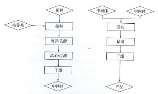藥廠設計