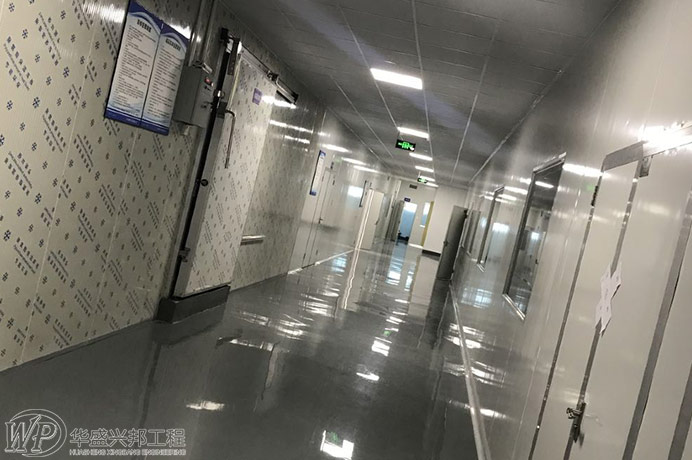 糖果廠設計-鼠蟲害對食品工廠的危害